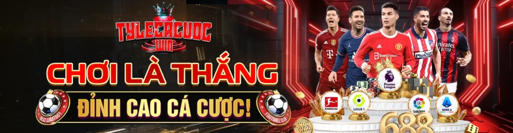 tylecacuoc banner
