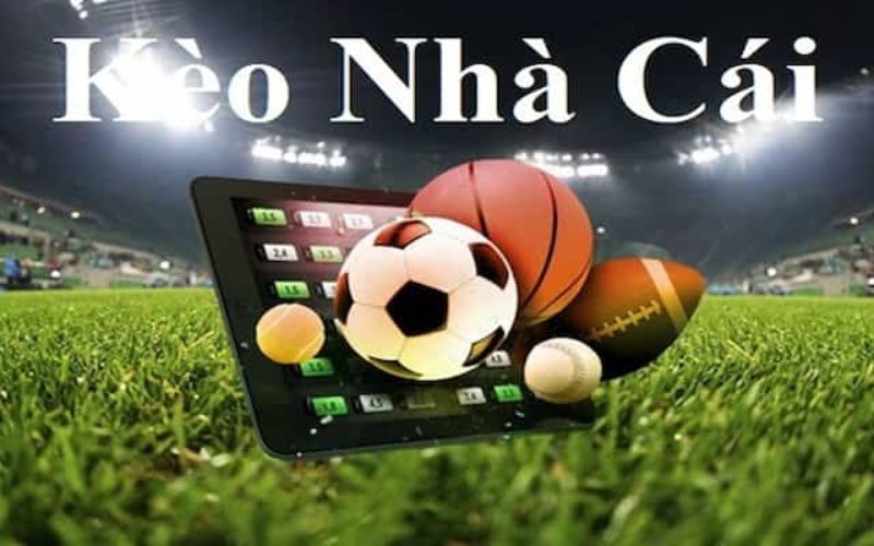 Soi kèo chuyên gia