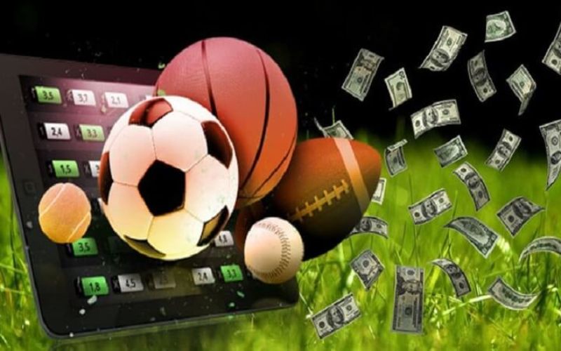 Nhà cái phù hợp cho người mới
