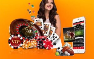 Nhà cái phù hợp cho người mới